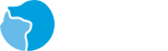 东升国际股份